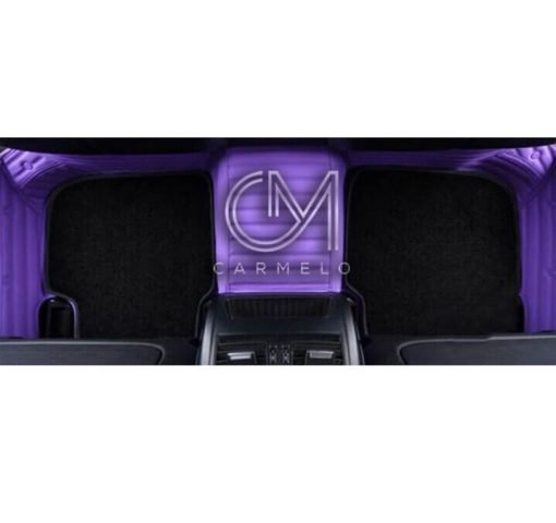 Black and Midnight Purple Carmelo Rear Carpet Mat